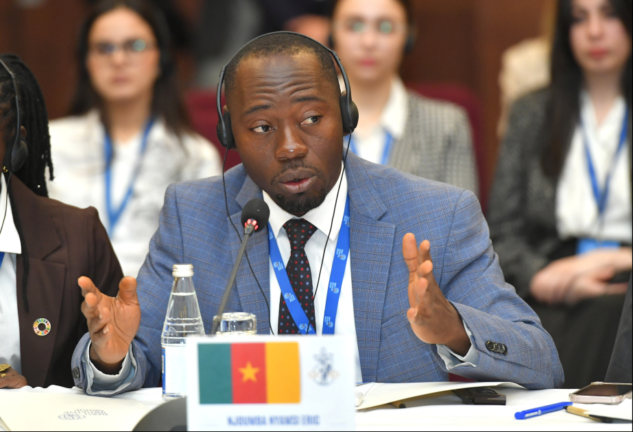 Kenyan expert praises activities of Baku Initiative Group