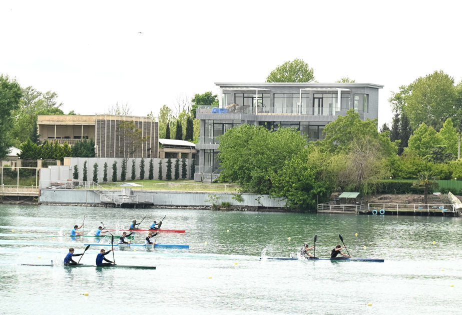 Azerbaijani rowers secure nine medals at International “President Cup 2026” regatta