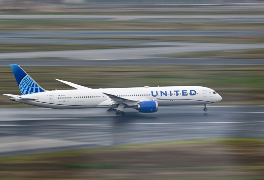 One injured after plane hits truck while landing in U.S. State of New Jersey