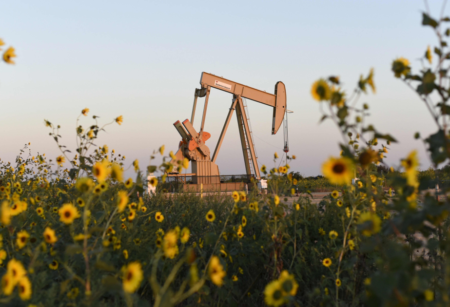 Les cours du pétrole en baisse sur les bourses mondiales VIDEO