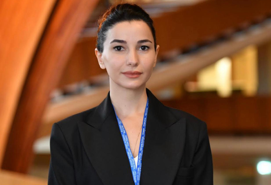 Gürcüstanlı nazir: Biz Azərbaycan, Orta Asiya ölkələri və Çin ilə fəal çalışırıq