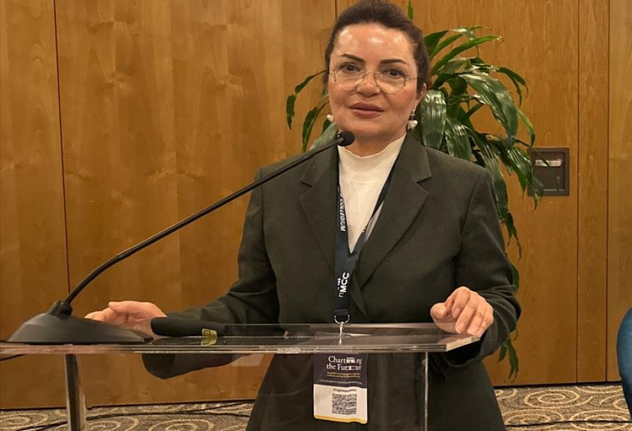 Professor : Azərbaycan Avropaya sülhün, suverenliyin və siyasi ləyaqətin dərsini verir
