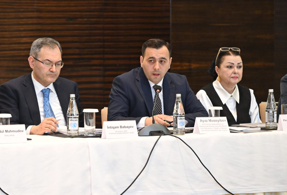 Ayaz Müseyibov: İncəsənətin inkişafı üçün yeni strategiyalar müəyyənləşdiriləcək VİDEO