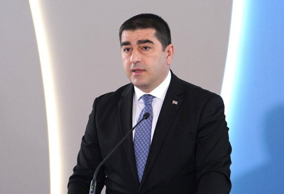 Şalva Papuaşvili: Cənubi Qafqaz Avropa ilə Asiya arasında mühüm birləşdirici halqadır
