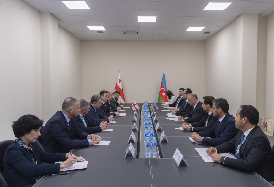 Georgian Agriculture Minister: We are keen on developing partnership relations with Azerbaijan in all areas