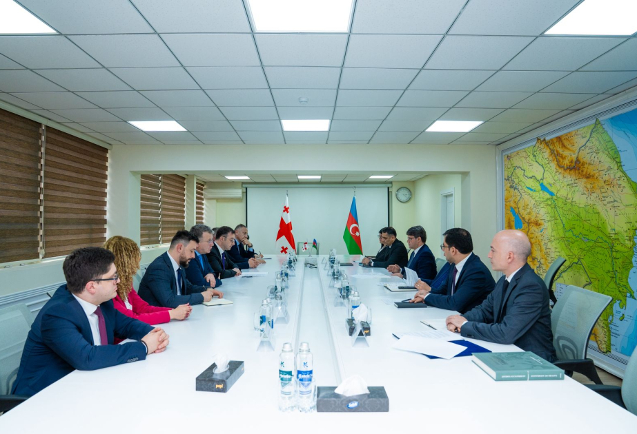 Georgian minister informed about WUF13