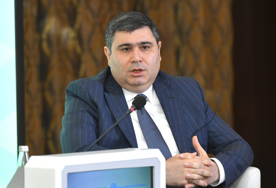 AMB sədrinin müavini: Bankların kənd təsərrüfatı sektoruna ayırdığı kreditlər 2,1 milyard manata çatıb