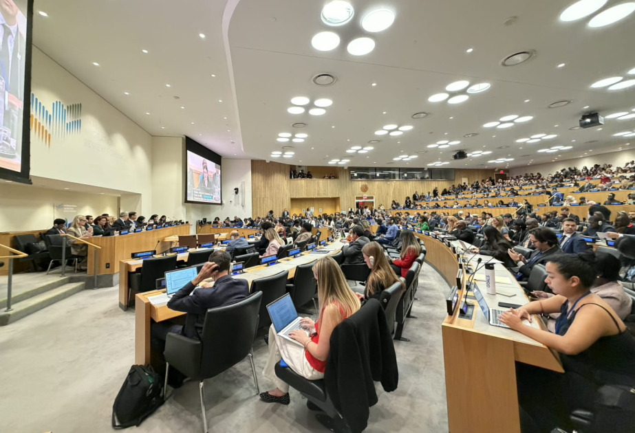 Azerbaijan entrusted with co-chairmanship of roundtable within International Migration Review Forum