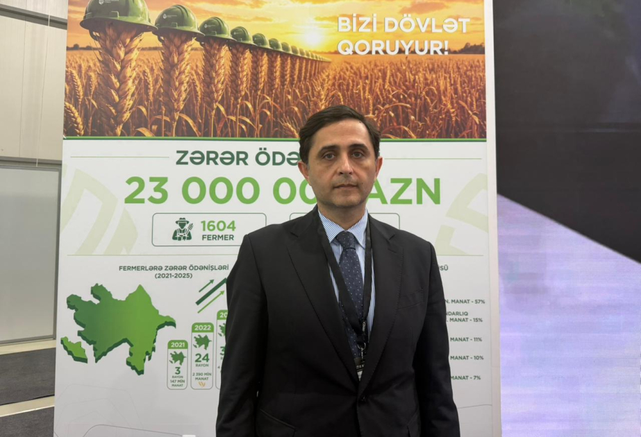 Fuad Sadıqov: Sığorta məbləğinin ödənilməsinin dərhal tənzimlənməsi mümkün deyil