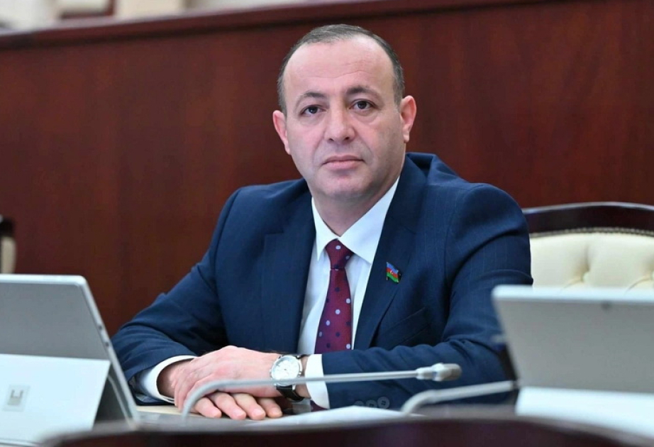 Azərbaycan-İtaliya münasibətləri klassik diplomatik əməkdaşlıq çərçivəsini aşaraq strateji müttəfiqlik xarakteri alıb RƏY