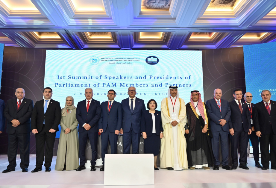 Azerbaijan`s Milli Majlis granted observer status in Parliamentary Assembly of the Mediterranean