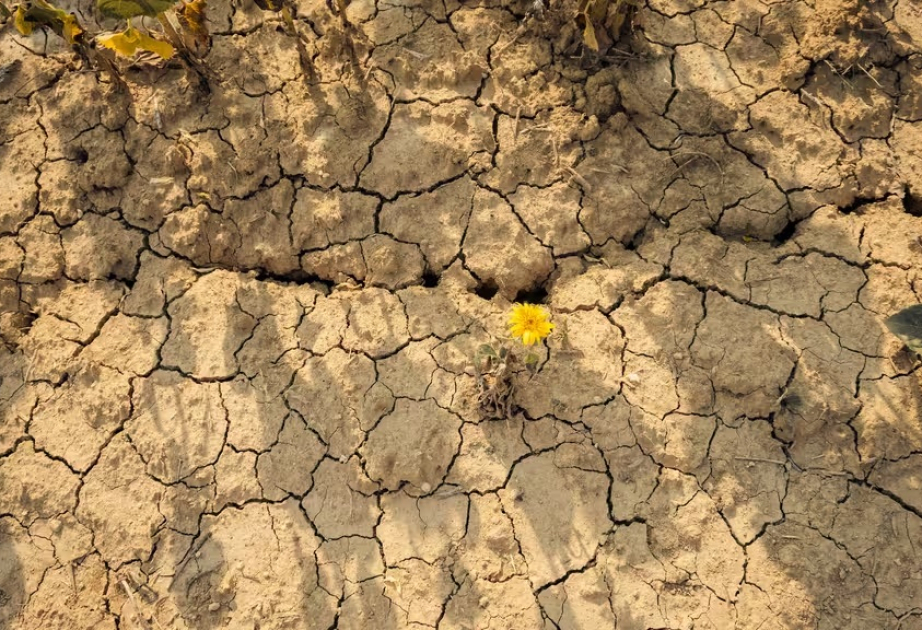 Scientists warn super El Niño could drive record global heat