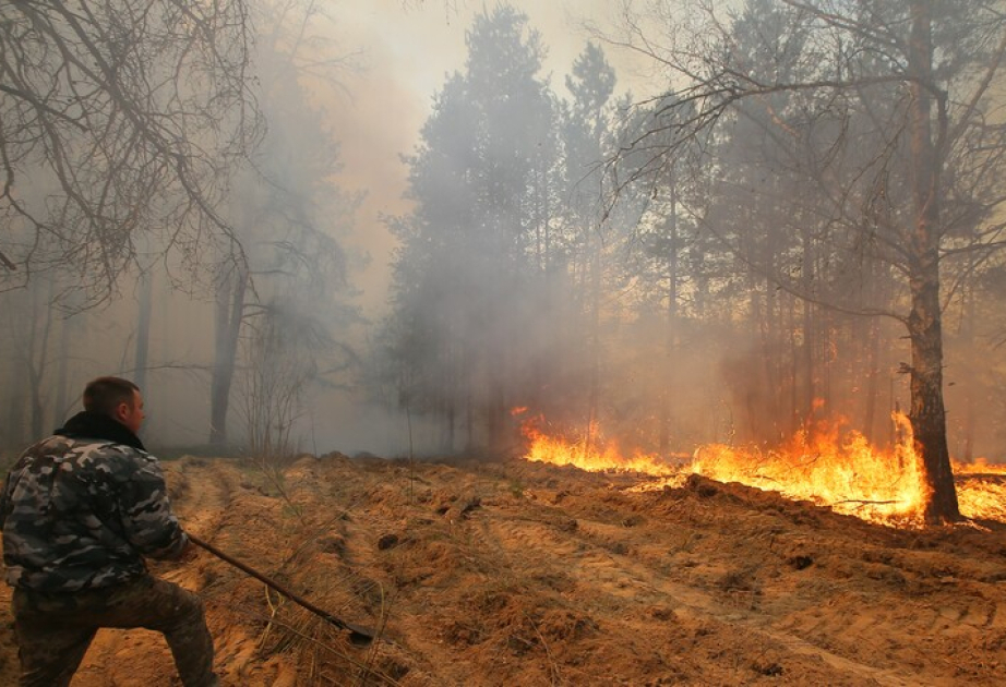 Massive forest fire breaks out in Ukraine’s Chernobyl ‘exclusion zone’