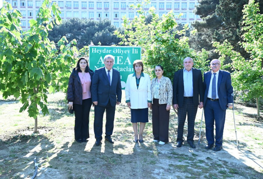 Nadir ağaclar parkının ərazisində müxtəlif növ ağac tingləri və gül kolları əkilib
