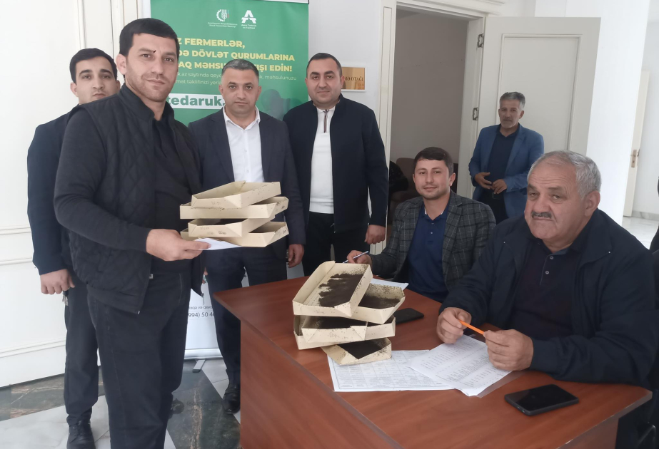 Tərtərli kümçülərə ipəkqurdu toxumu paylanıb
