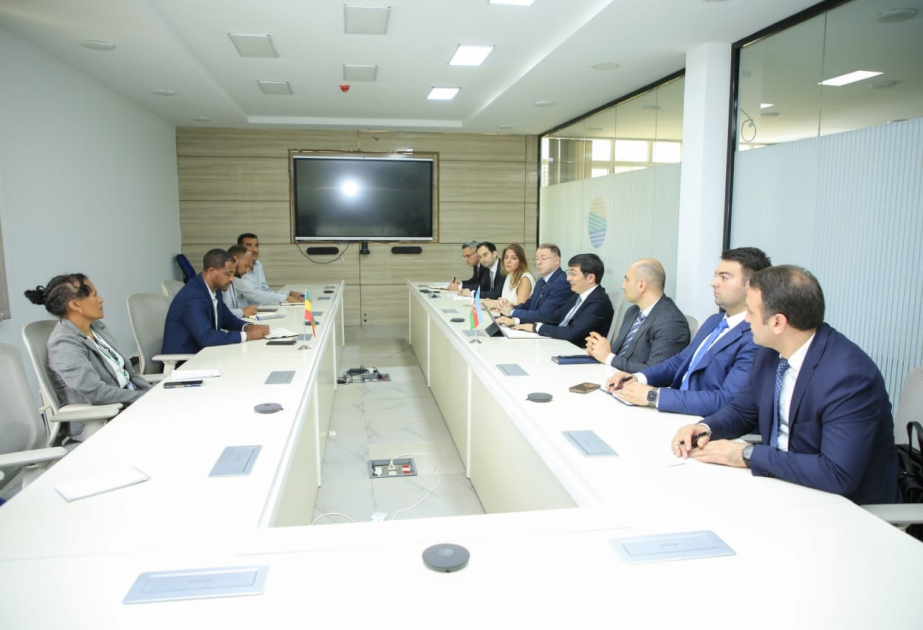 Azərbaycan nümayəndə heyətinin Efiopiyada bir sıra görüşləri olub