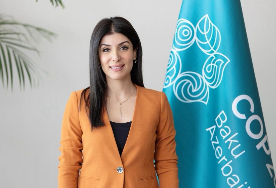 Prezident İlham Əliyevin Şərqi Zəngəzurda müasir şəhərsalma və məskunlaşma siyasəti -  ŞƏRH