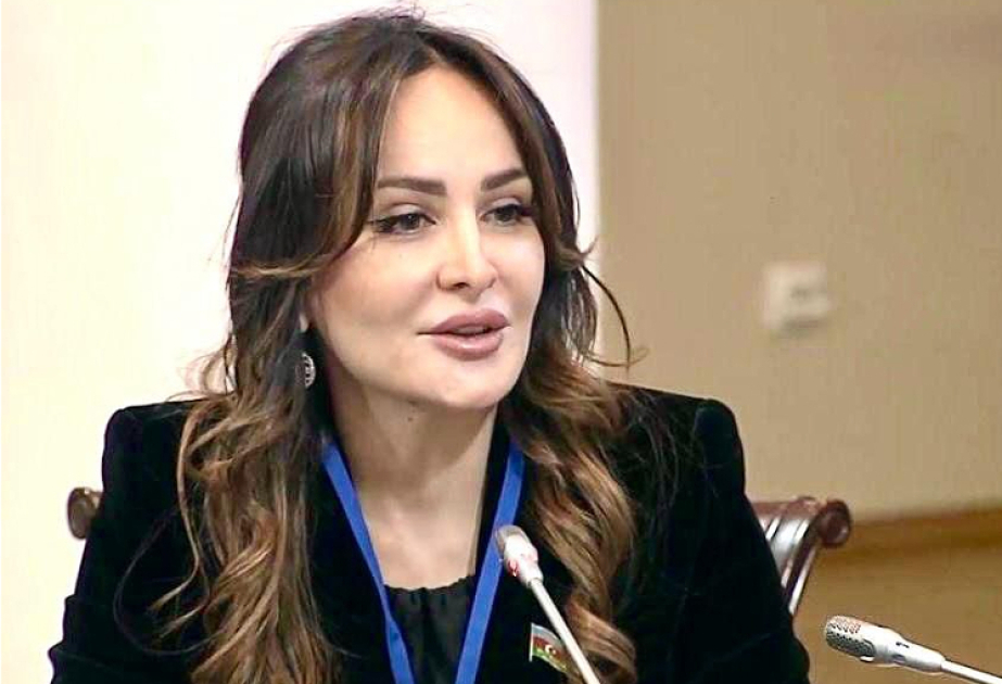 Qarabağ və Şərqi Zəngəzur yeni iqtisadi, geosiyasi güc platformasına çevrilir  ŞƏRH