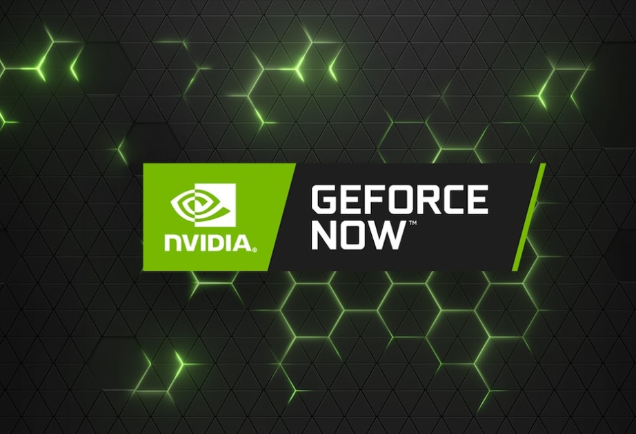 Произошла утечка пользовательских данных из инфраструктуры Nvidia в Армении