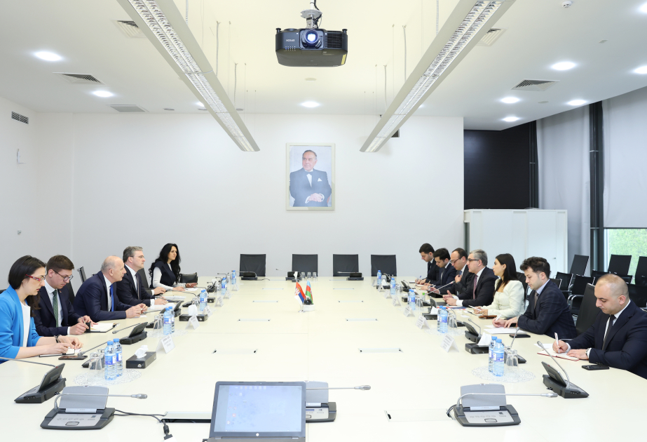 Azerbaijan, Serbia discuss export prospects and investment cooperation
