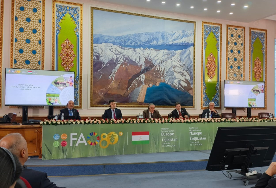 FAO-nun Regional Konfransının 35-ci sessiyasında Azərbaycandakı innovativ layihələrdən danışılıb