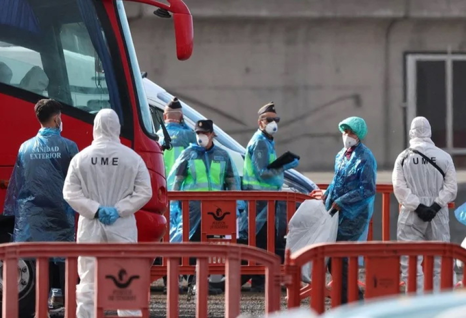 Dutch hospital quarantines 12 over breach of hantavirus protocol