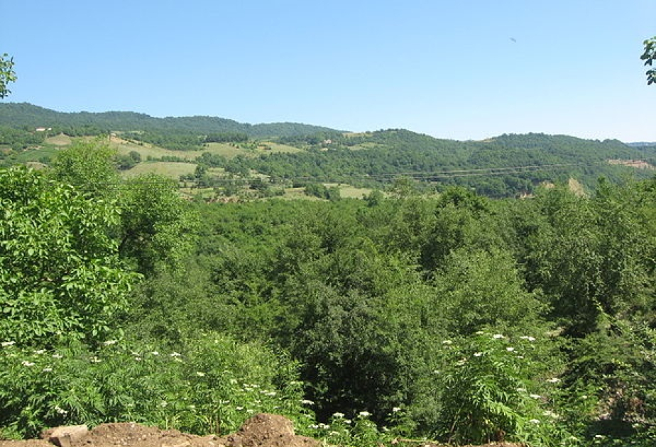 Azərbaycanın bitki örtüyündə “səhra” və “psevdomakki” tipləri elmi cəhətdən sübut edilib - tədqiqat