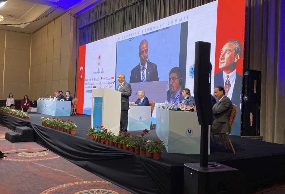 29th Eurasian Economic Summit kicks off in Istanbul