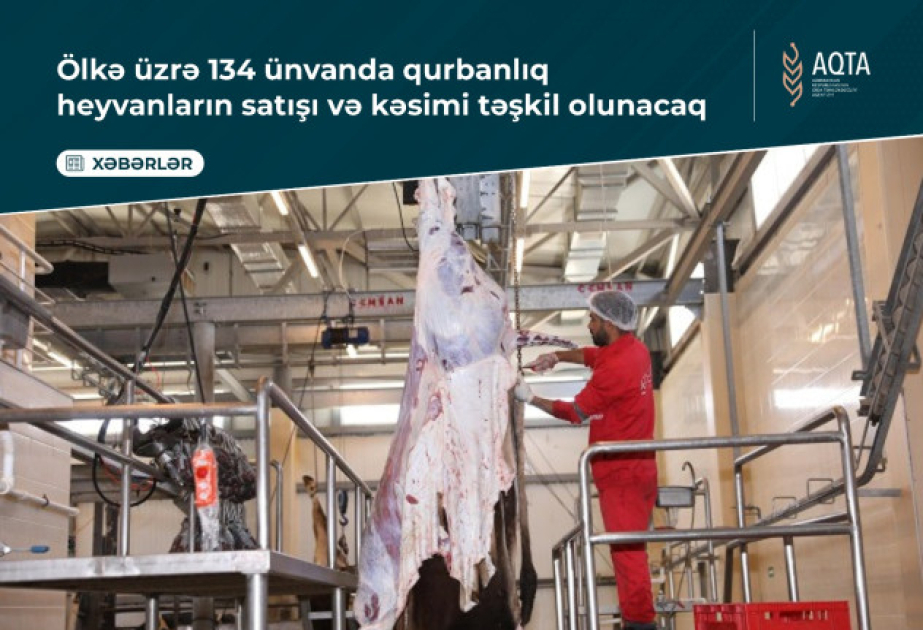 Qurbanlıq heyvanların satışı və kəsimi ilə bağlı ünvanların siyahısı açıqlanıb