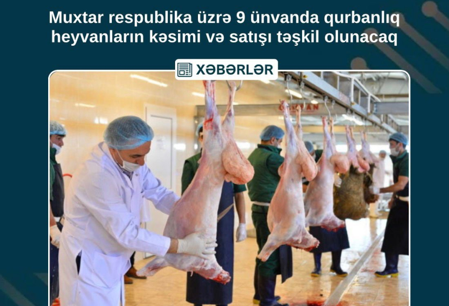Naxçıvanda 9 ünvanda qurbanlıq heyvanların satışı və kəsimi təşkil olunacaq