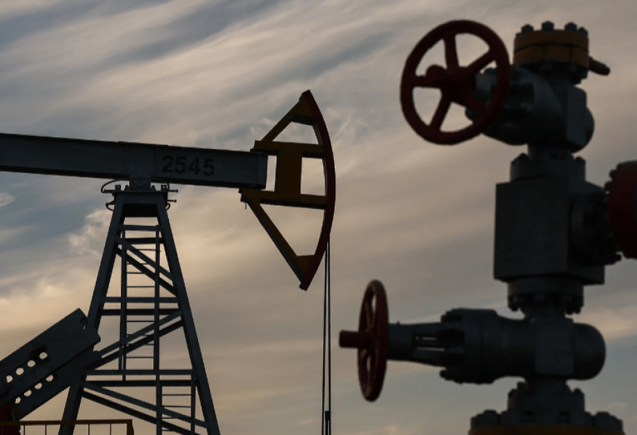 OPEC: Bu il qlobal neft tələbatı sutkada 106,3 milyon barel olacaq
