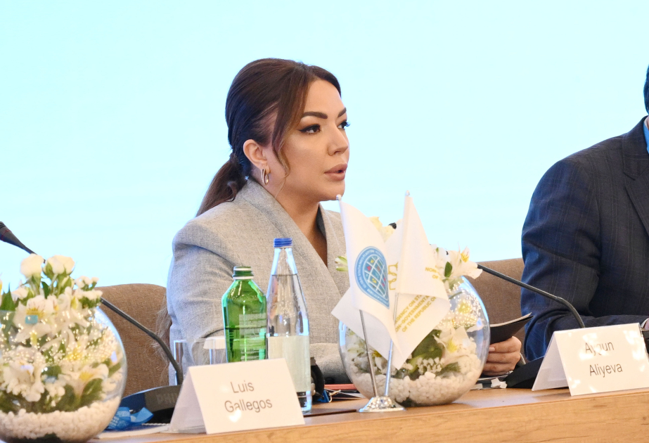 Aygün Əliyeva: Qlobal Cənub onun gələcəyinə təsir edən qərarlara töhfə verilməsində konstruktiv iştirakçı rolunu oynamalıdır