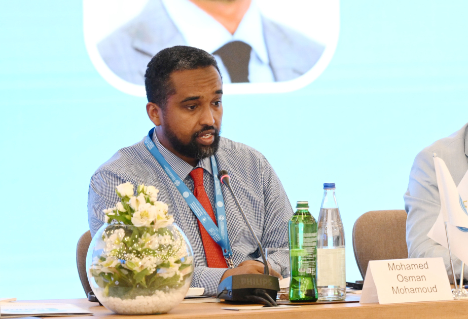 Somali Prezidentinin müşaviri: Azərbaycan həm regional, həm də sivilizasiyalar arasında bir körpüdür