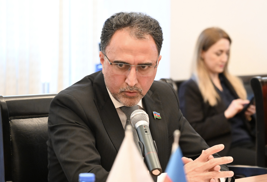 Zaur Şükürov: Regionda marağı olan dövlətlər Ermənistandan istifadə etməyə çalışırlar