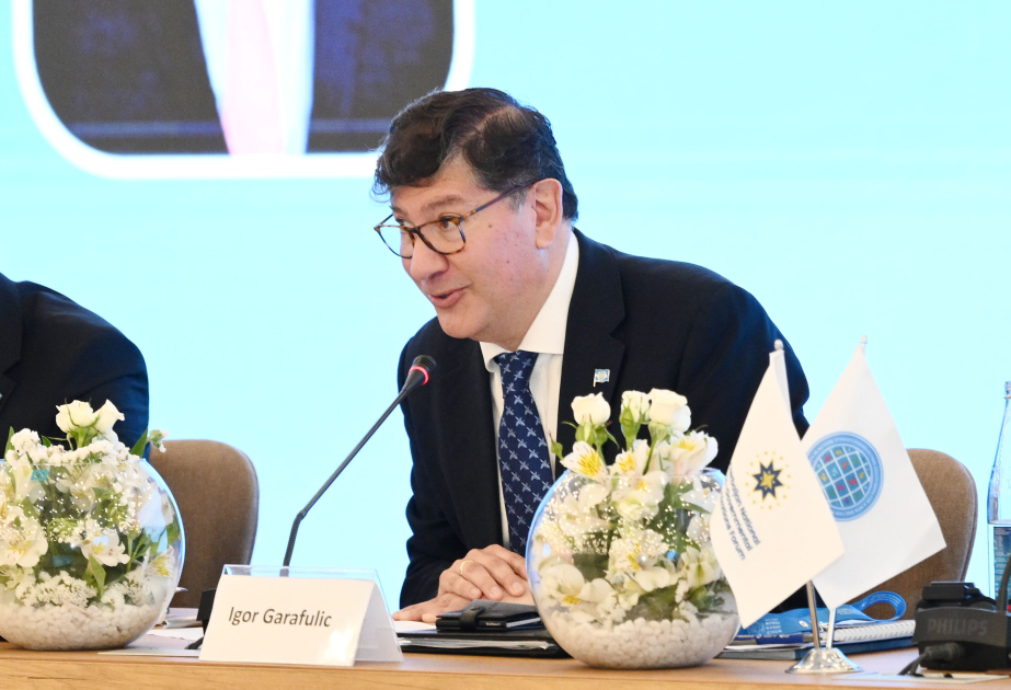 UN hails Azerbaijan's commitment to promote international cooperation