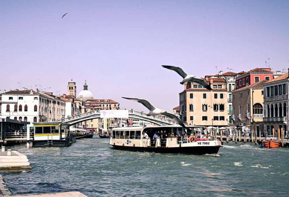 La vida sobre el agua…- FOTORREPORTAJE desde Venecia