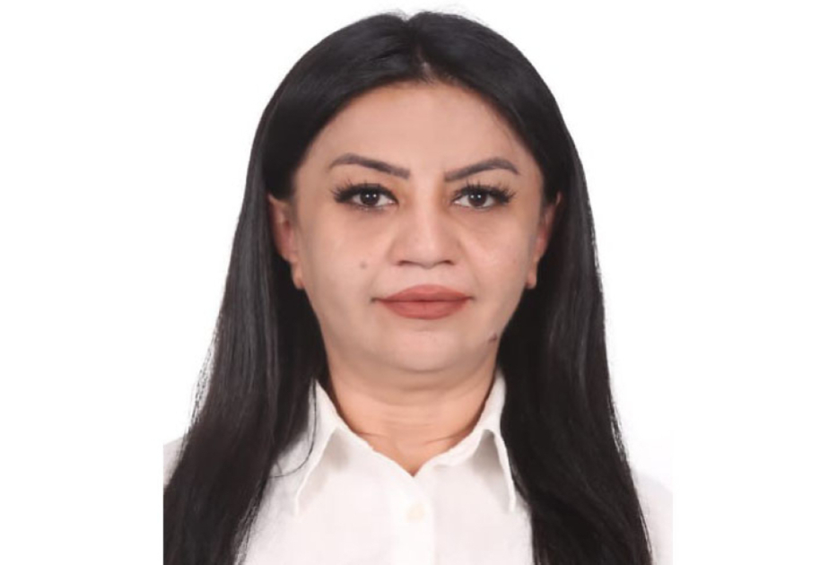 Zəngilan və Şərqi Zəngəzur yaxın gələcəkdə Azərbaycanın iqtisadi xəritəsində xüsusi yer tutacaq -  ŞƏRH