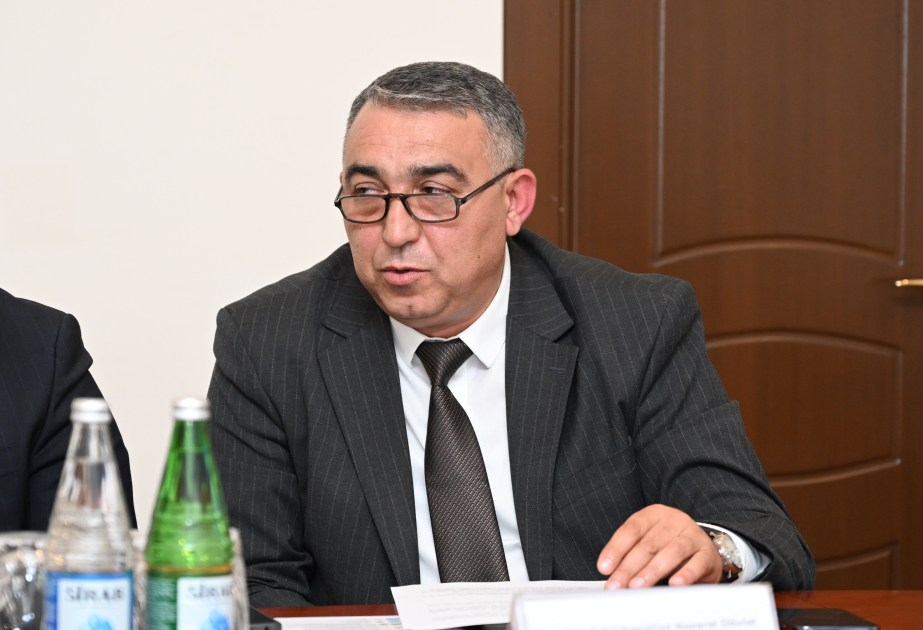 Dövlət Agentliyinin nümayəndəsi: İqlim dəyişiklikləri tikinti təhlükəsizliyinə birbaşa təsir göstərir