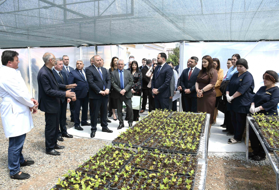 ADAU-da Bitkilərin Adaptasiya Otağı fəaliyyətə başlayıb