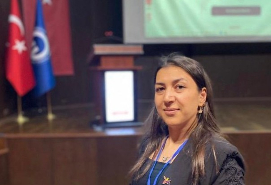 Cənubi Qafqazın siyasi gündəmini artıq regional aktorlar müəyyənləşdirir - TƏHLİL