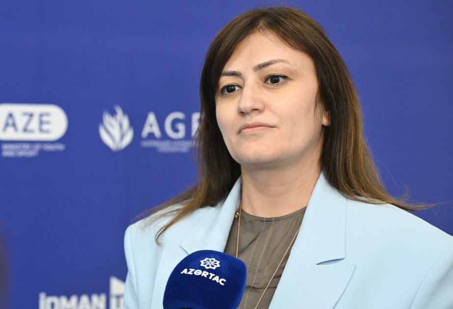 Baş katib: “AGF Trophy” turniri gənc gimnastlarımızın püxtələşməsi üçün vacibdir