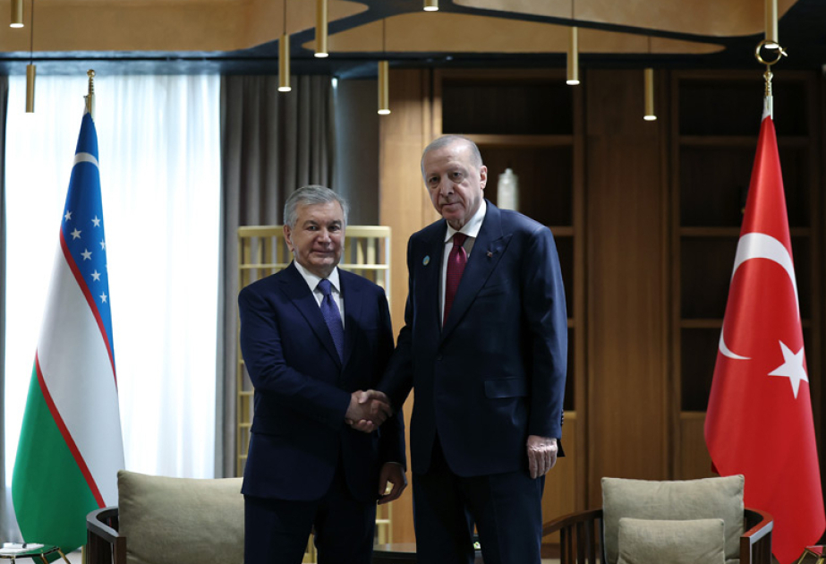 Turkish, Uzbek presidents discuss defense, trade cooperation in Turkistan