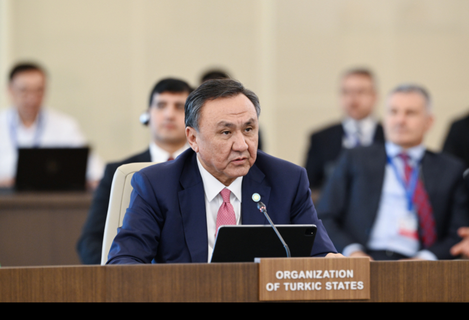 Kubanıçbek Ömüralıyev: Ortaq dil sahəsində əməkdaşlıq türk dövlətlərinin daha da yaxınlaşmasının əsasıdır