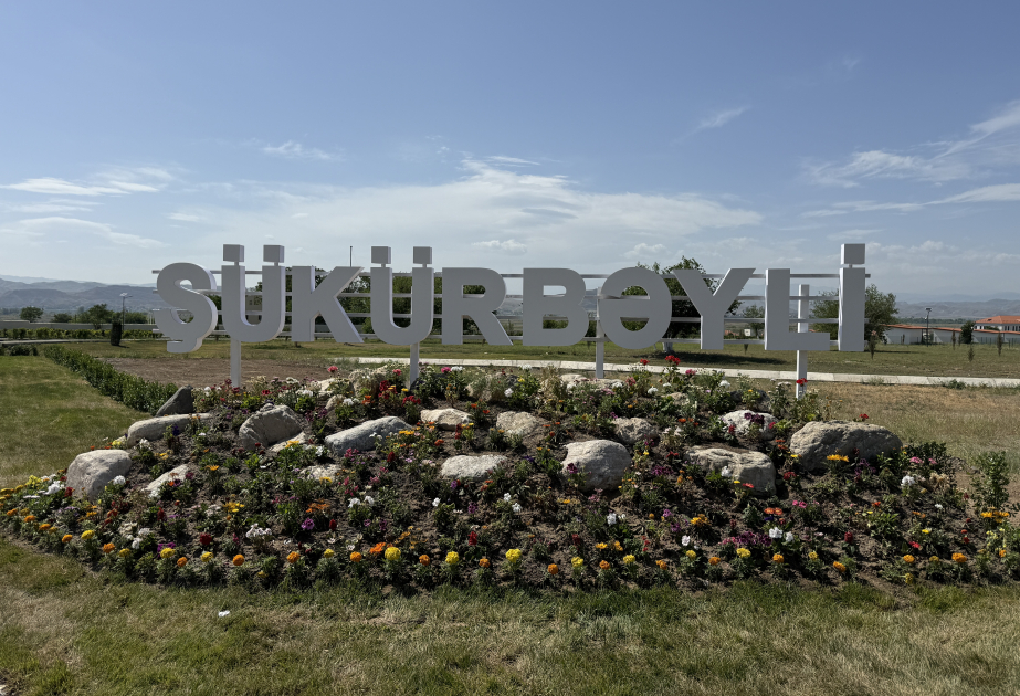 Böyük Qayıdışın növbəti ünvanı – Şükürbəyli kəndində həyat yenidən canlanır
