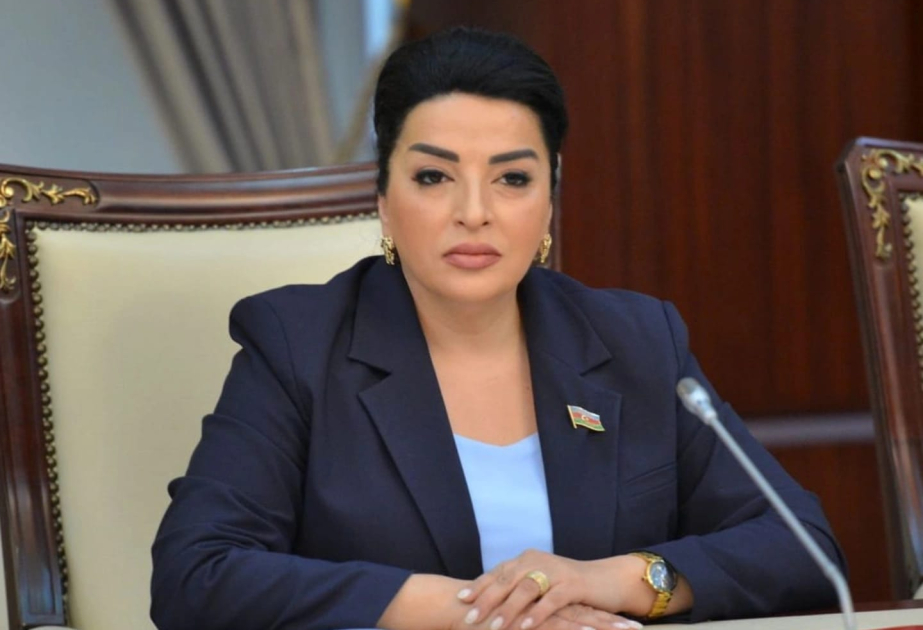 Tullantıların idarə olunması ilə bağlı yeni Fərman ekoloji təhlükəsizlik üçün strateji addımdır ŞƏRH