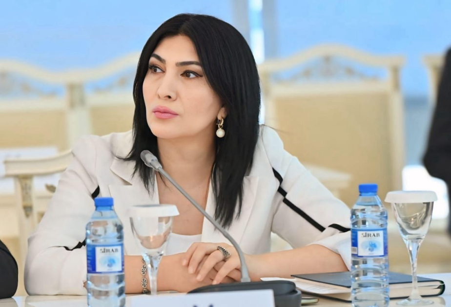 Prezident İlham Əliyevin Türküstandan yüksələn birlik mesajı gələcəyin yol xəritəsidir  ŞƏRH
