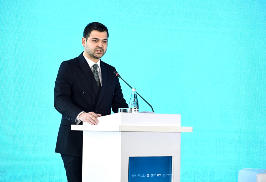TÜRKPA Baş katibinin müavini: Türk dünyası artıq ortaq strateji hədəflər ətrafında birləşə bilir