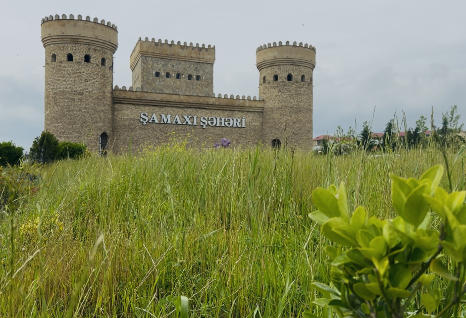 Şamaxı WUF13 çərçivəsində xarici qonaqlara Azərbaycanın turizm zənginliyini nümayiş etdirəcək - REPORTAJ