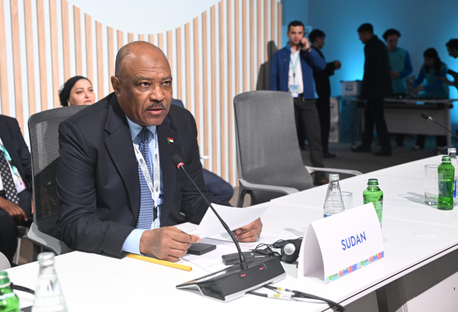 Sudan rəsmisi: İnanırıq ki, WUF13-dəki təcrübə şəhərlərimizin bərpası istiqamətindəki səylərə böyük töhfə verəcək