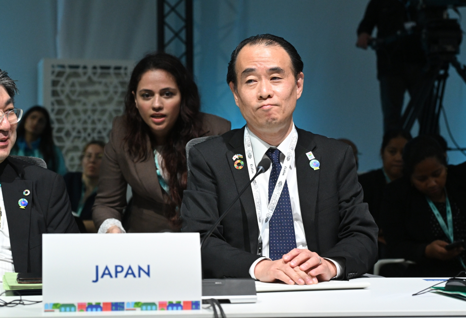 Japanese official: Upgrading infrastructure against increasingly frequent natural disasters is essential
